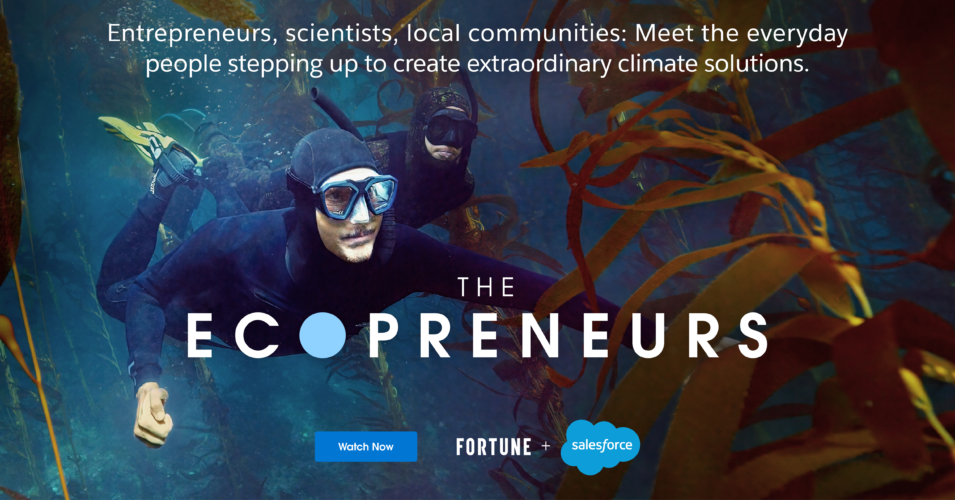 THE ECOPRENEURS